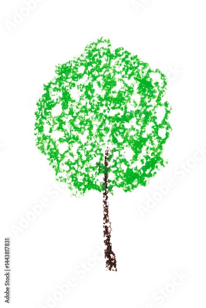 Obraz Hand drawn deciduous tree with green foliage, simple children's crayon illustration isolated