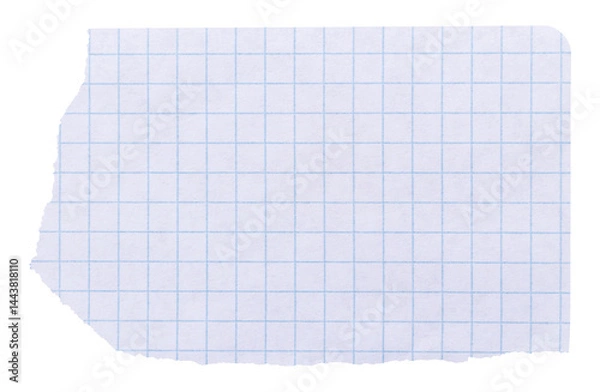 Obraz Piece of smooth ripped checkered paper isolated element with copy space