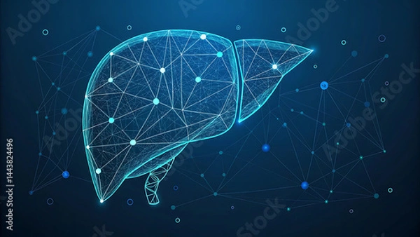 Obraz Human liver research. Wireframe low poly style. Concept for medical, pharmacology, treatment of the hepatitis. Abstract modern 3d vector illustration on dark blue background.