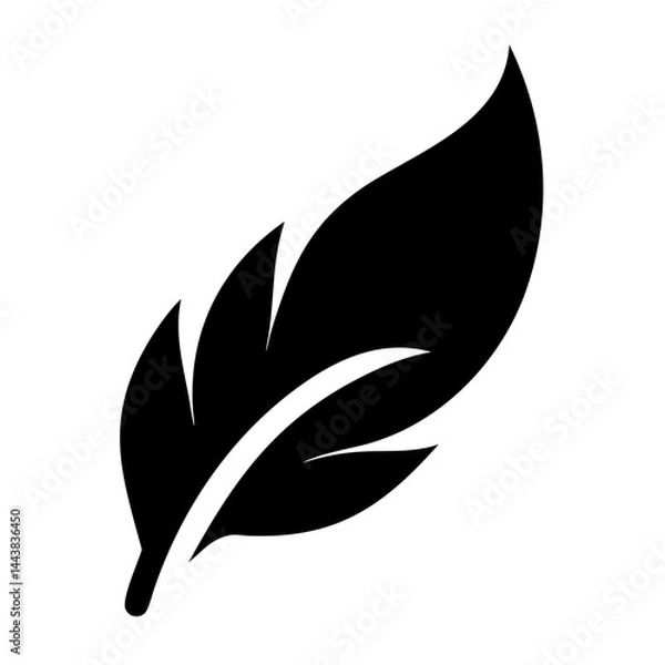 Fototapeta Vector graphic of a black feather illustration for design elements and creative projects use case