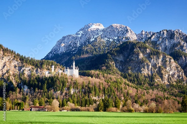 Obraz Schloss Neuschwanstein