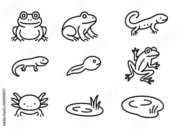 Fototapeta Amphibian and reptile outline icons – linear style wildlife, nature, and biodiversity symbols for conservation: frog, lizard, tadpole, salamander, pond, crab, habitat.