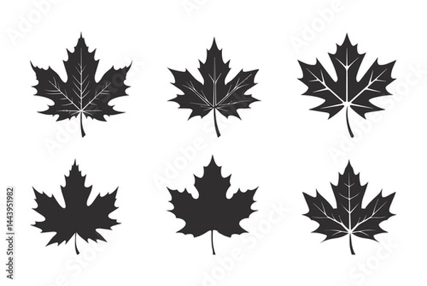 Obraz A simple Maple leaf icon, leaf set ,silhouette vector illustration.	
