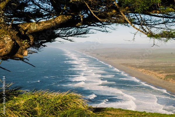 Fototapeta Coastal view from a hillside overlooking Point Reyes National Seashore