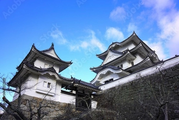 Obraz 伊賀上野城　復興天守