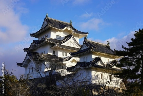 Obraz 伊賀上野城　復興天守