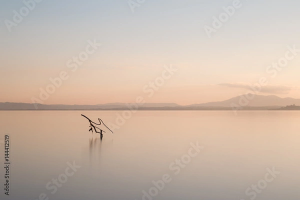 Fototapeta A minimalist photo of a branch emerging out of totally flat water during sunset, with soft and warm colors, under an almost empty sky 