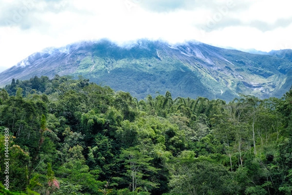 Fototapeta Lush green jungle with dense foliage stretches toward a towering, cloud-covered mountain under a partly cloudy sky.