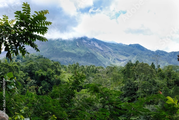 Fototapeta Lush green jungle with dense foliage stretches toward a towering, cloud-covered mountain under a partly cloudy sky.