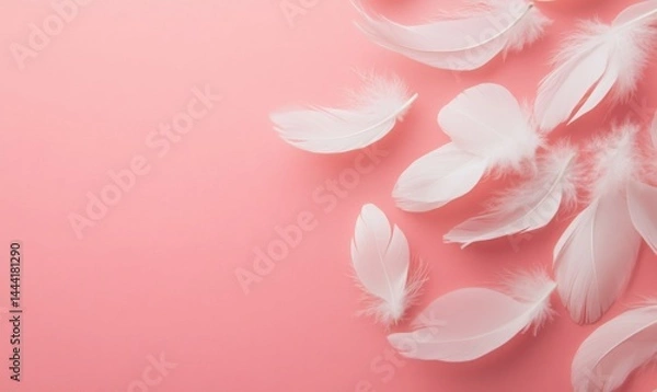 Obraz White feathers