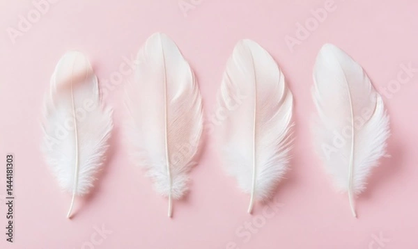 Obraz White feathers