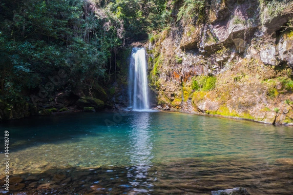 Fototapeta 轟の滝