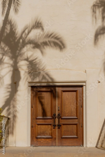 Fototapeta Shadow of a palm tree on a wooden door