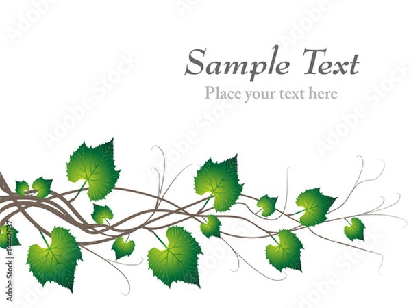 Obraz Grapevine Branches