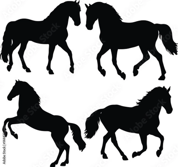 Fototapeta Black horse silhouettes in dynamic poses with elegant equine forms on white background – minimalist symmetrical animal art, vector-style equestrian illustration