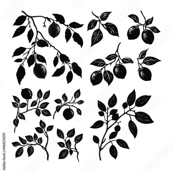 Fototapeta Set of decorative botanical leaf silhouettes in floral pattern
