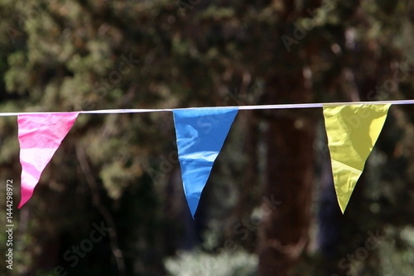 Fototapeta A flag flutters in the wind in a city park in Israel.