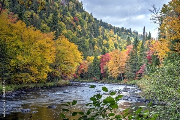 Fototapeta Paysage des Laurentides au Canada