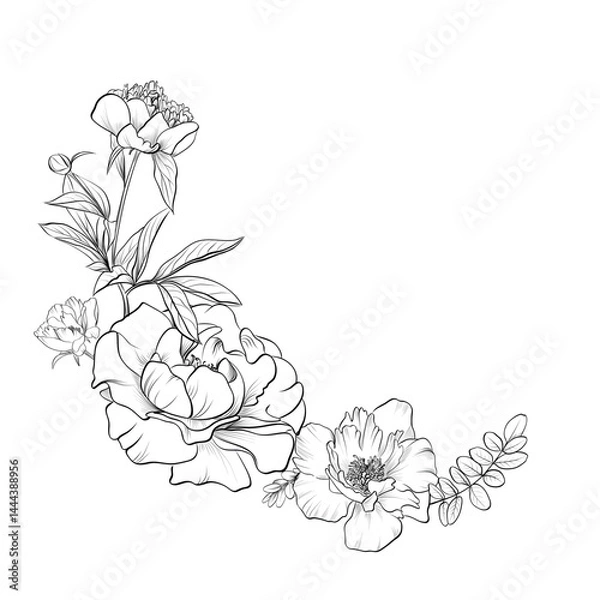 Obraz Peony flowers corner botanical vector