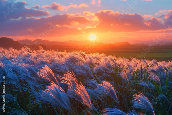 Fototapeta Witness the stunning metamorphosis of a lush field, as gentle morning breeze gently sways the grass and vibrant colors of the setting sun create a mesmerizing spectacle in the sky  