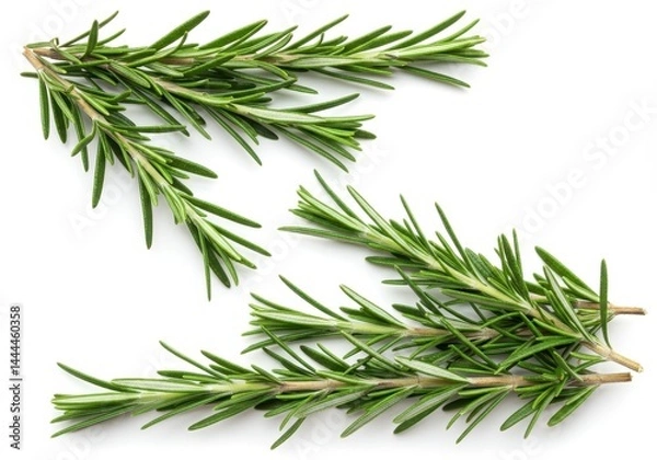 Fototapeta Isolated sprigs of fresh rosemary arranged on a white background creating a clean and simple composition