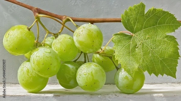 Obraz Freshly Harvested Assorted Fruits – Vibrant Organic Produce with Natural Colors and Textures