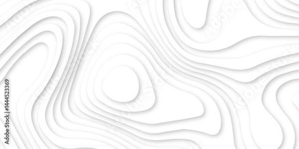 Fototapeta Abstract wavy line 3d paper cut white background. white and gray luxury grid topography map and satin smooth wallpaper matt paper light texture. White waves decorative papercut design.