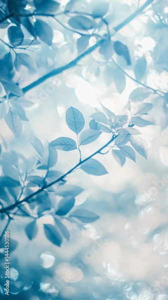 Fototapeta Dreamy cyanotype of delicate leaves branches in soft focus