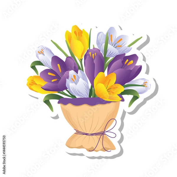Obraz Sticker with bouquet of spring purple, blue, yellow crocus isolated  on white background.