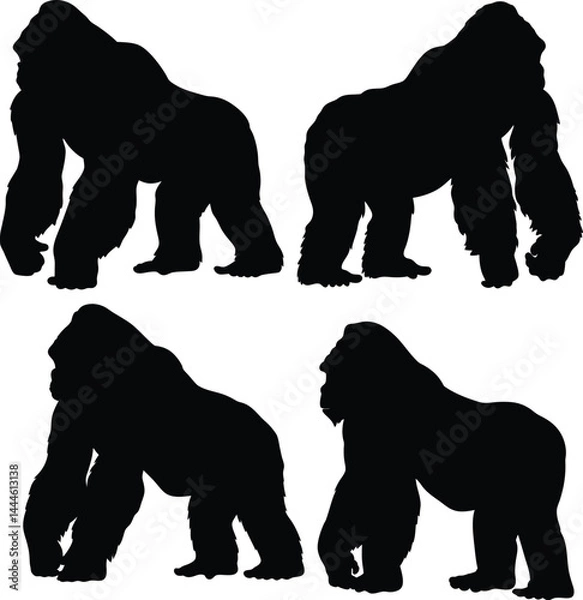Fototapeta Silhouette Gorillas in Multiple Poses, Powerful Stance, Minimalist Black Primate Vector Art, Wildlife Illustration for Nature Print