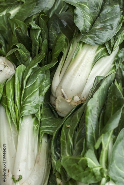 Obraz fresh vegetables on market