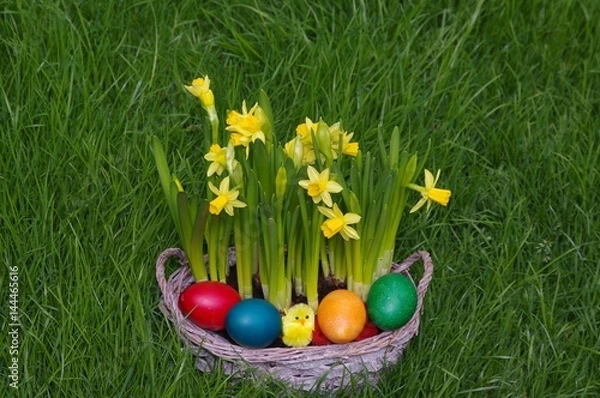 Obraz Koszyk żonkili z pisankami