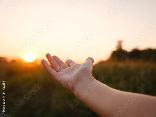 Fototapeta Soft evening light bathes golden field as woman's hand gently moves through tall grass, capturing sense of freedom, nature, and serenity. Warm sunset hues create peaceful, dreamy countryside atmospher