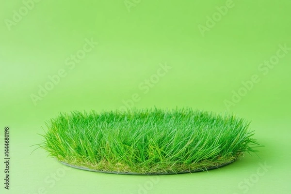 Fototapeta Circle of vibrant green grass on a light lime green background  A  circular patch of lush grass sits atop a round dark gray base