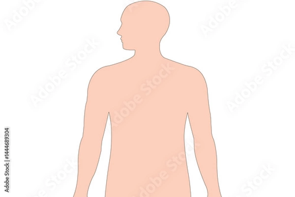 Obraz Simplified torso and head outline of a man, isolated on white background.