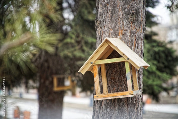Fototapeta Wooden bird feeder mounted on a pine tree trunk in an urban park, ideal for illustrating wildlife feeding, outdoor nature scenes, and backyard birdwatching. Photo