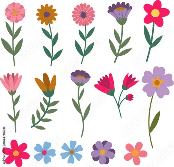Fototapeta Set of colorful flower elements isolated on white background. Design flourish elements for decoration.