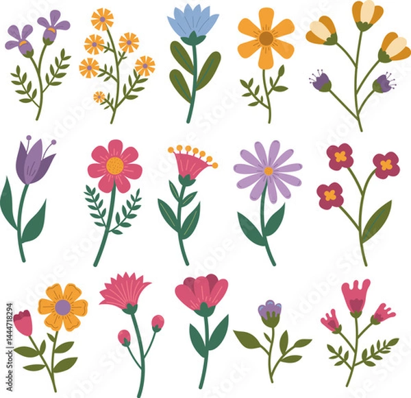 Obraz Set of colorful flower elements isolated on white background. Design flourish elements for decoration.
