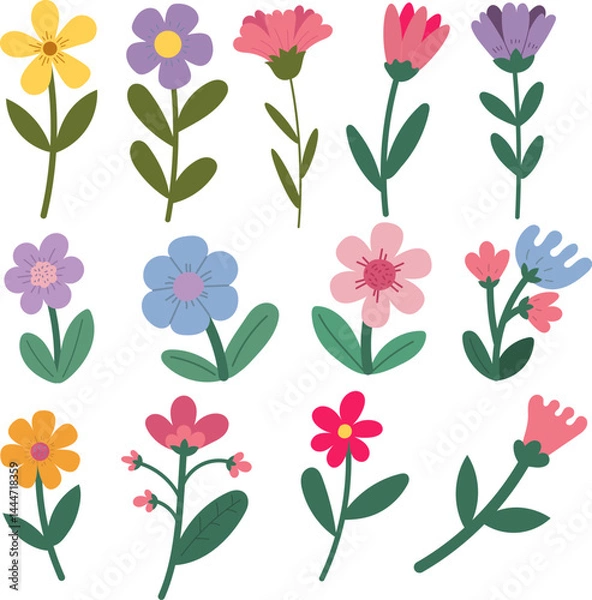 Obraz Set of colorful flower elements isolated on white background. Design flourish elements for decoration.