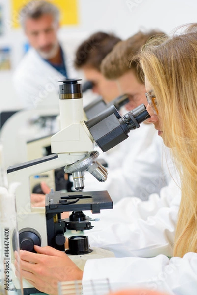 Fototapeta Row of students looking into microscopes