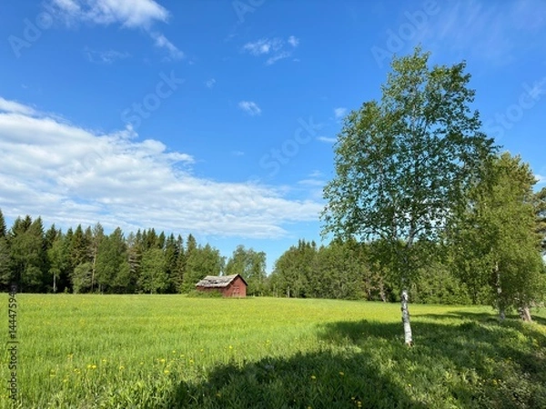 Obraz Red barn in a lush green field under a bright blue summer sky, surrounded by trees in Sweden.