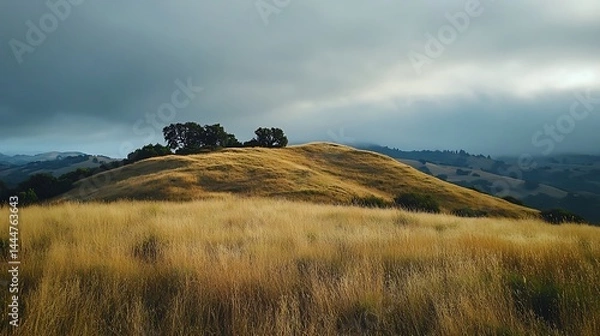 Fototapeta Nature Landscape with Mountain Valley