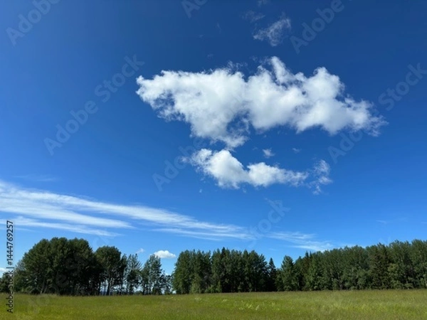 Obraz Vibrant blue sky with fluffy white clouds and lush green trees.
