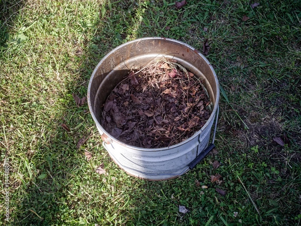 Obraz Tin bucket with fallen leaves in autumn