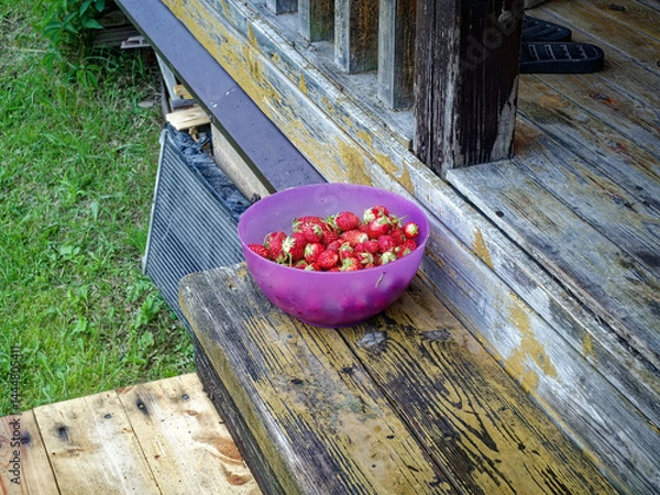 Obraz Plastic bowl with strawberries on the doorstep of a rural house