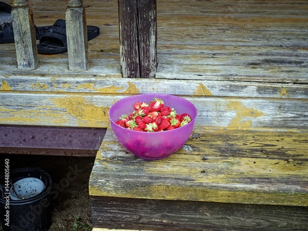 Obraz Plastic bowl with strawberries on the doorstep of a rural house