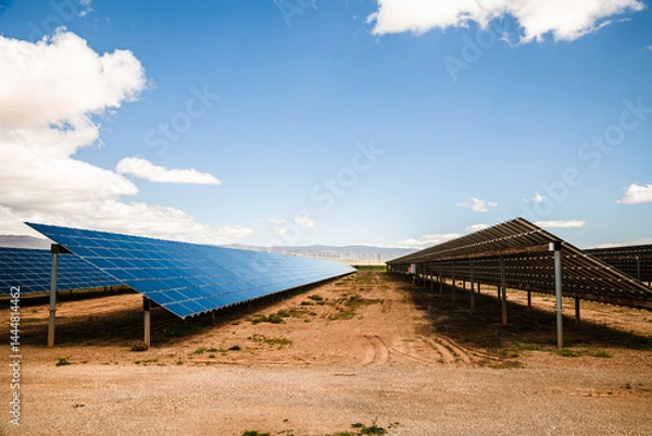 Obraz Symmetrical perspective of solar panel arrays on dry terrain under bright sky