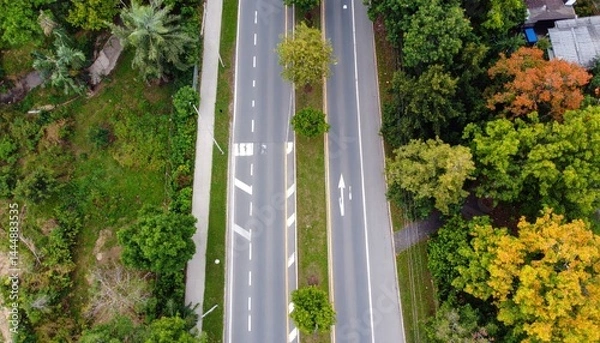 Fototapeta A safe road with signs, sidewalks, and trees, top-down perspective