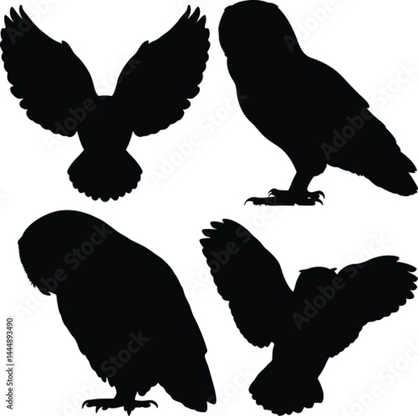 Fototapeta Black and White Owl Silhouettes with Spread Wings and Perched Poses in Minimalist Vector Style – Stylized Nocturnal Bird of Prey Graphic Illustration with Monochrome Contrast