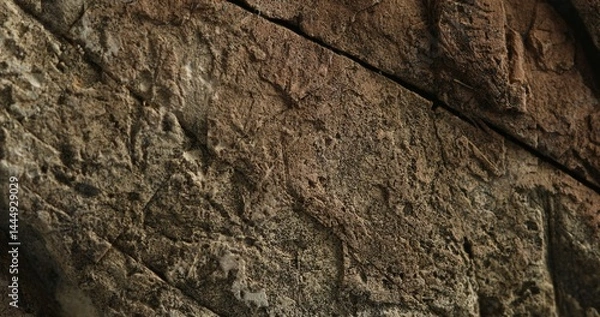 Fototapeta Close-up of layered brown rock with deep fracture and weathered surface